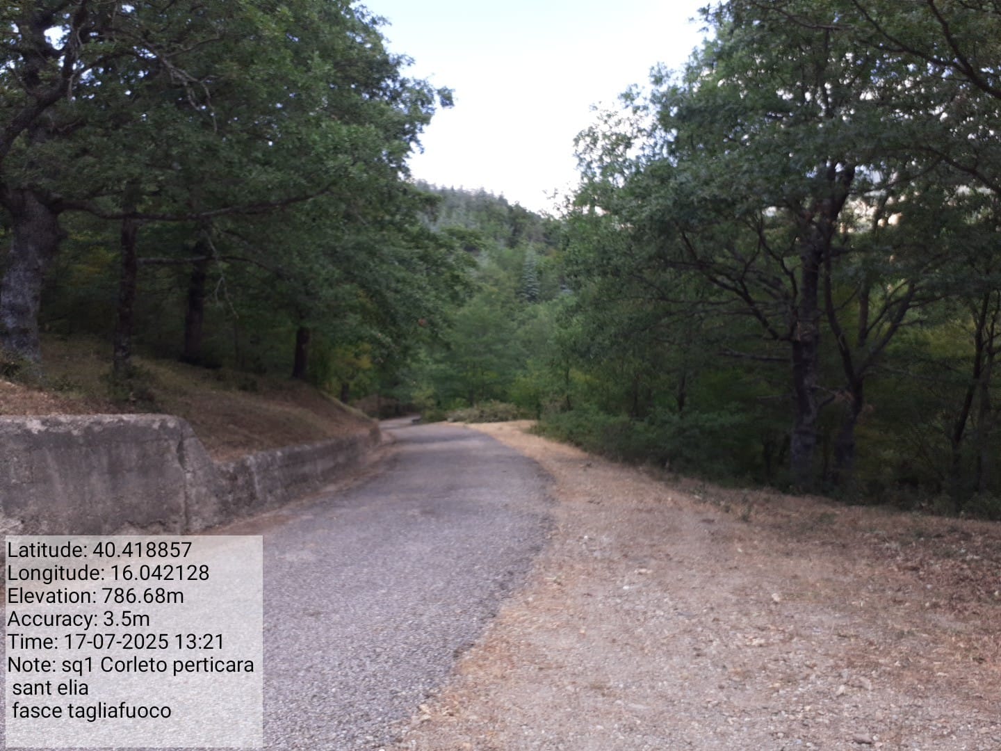 Galleria Fotografica Immagine