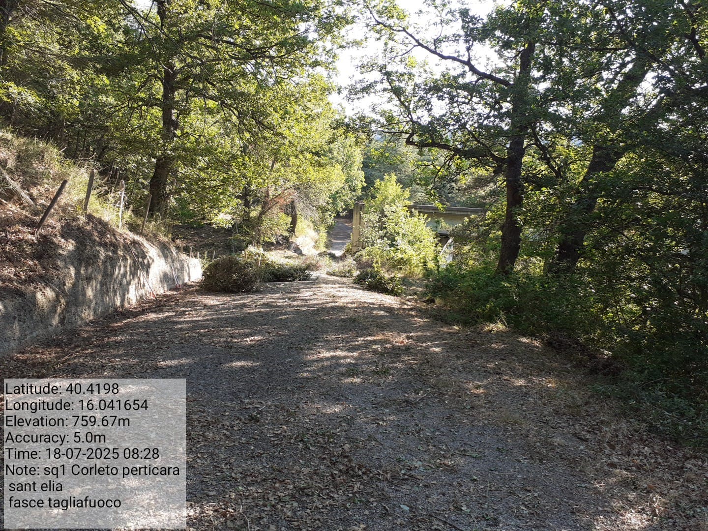 Galleria Fotografica Immagine