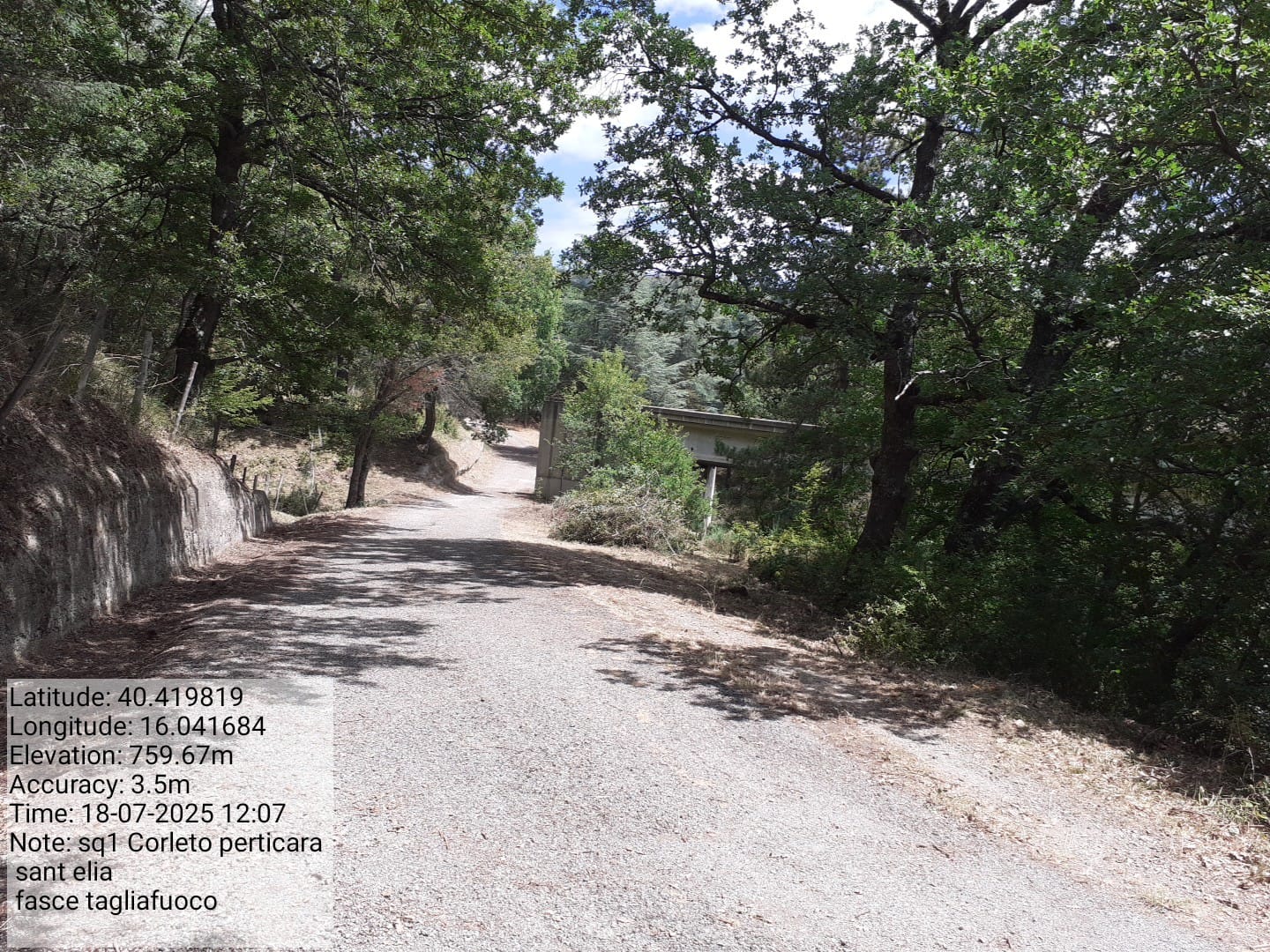 Galleria Fotografica Immagine