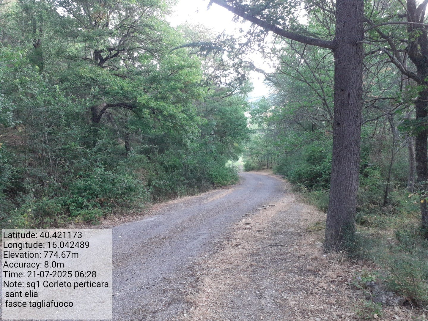 Galleria Fotografica Immagine