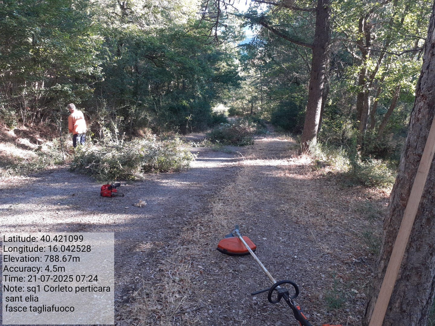 Galleria Fotografica Immagine