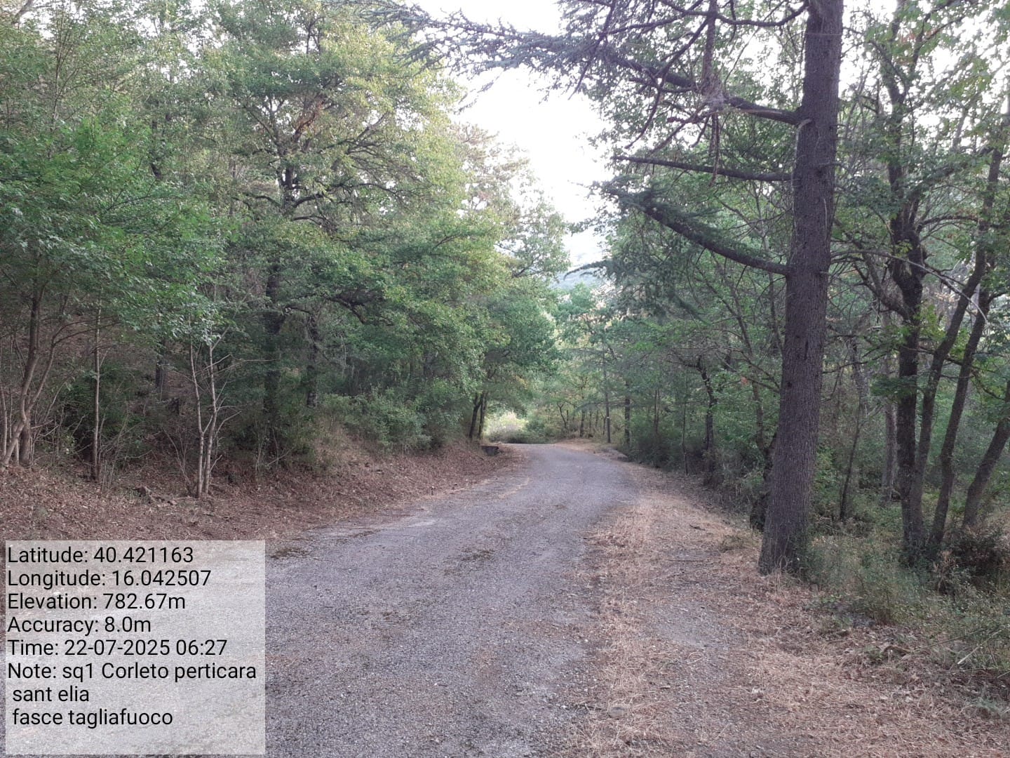 Galleria Fotografica Immagine