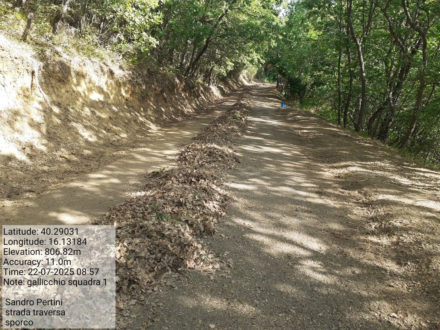 Galleria Fotografica Immagine