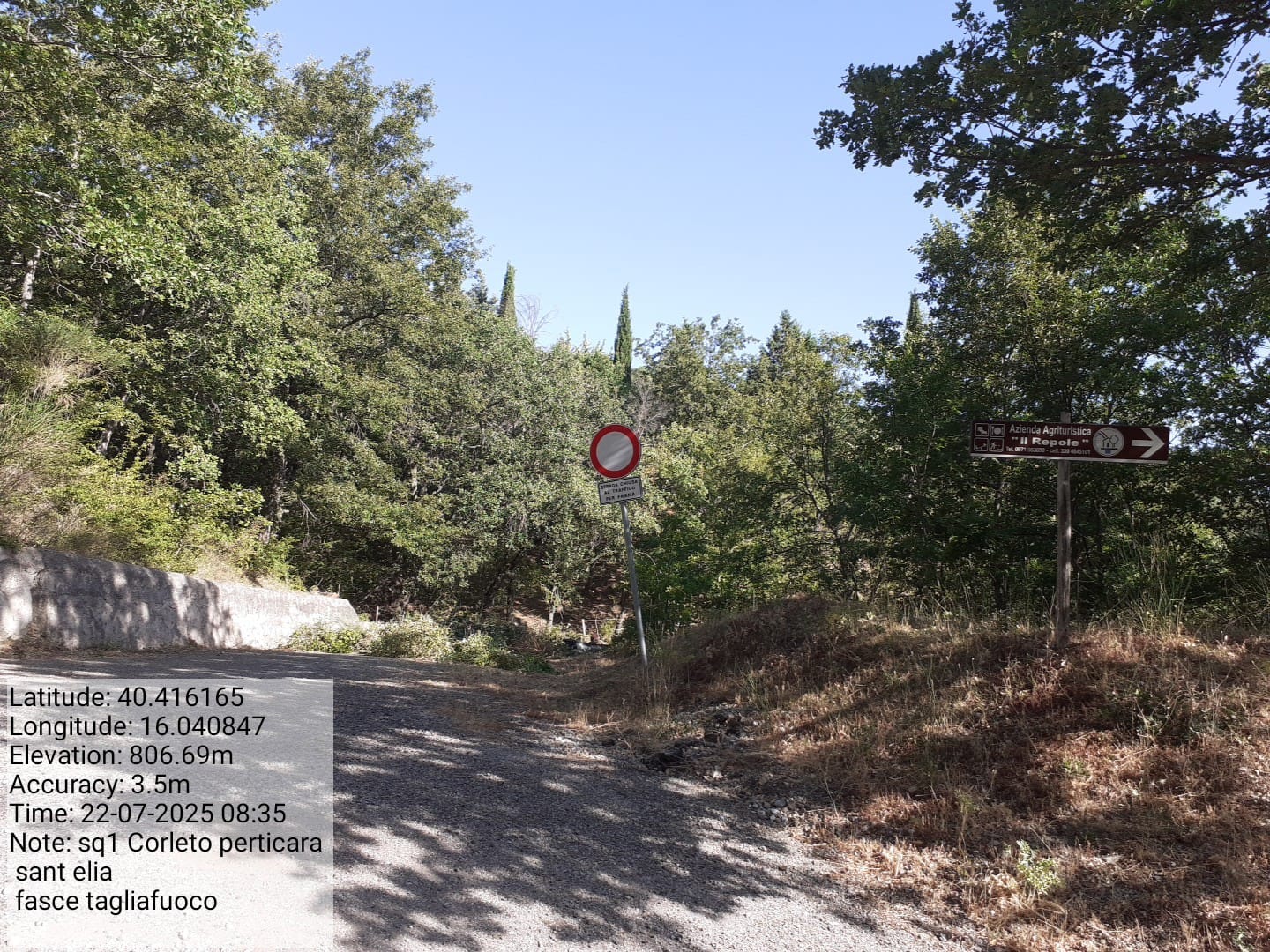 Galleria Fotografica Immagine