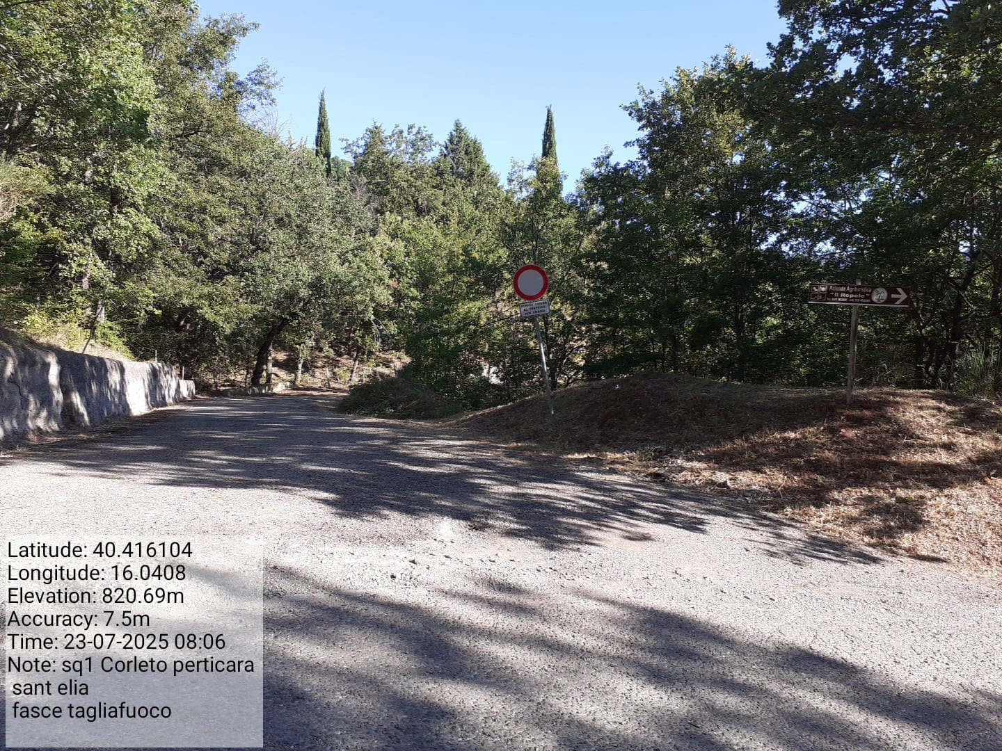 Galleria Fotografica Immagine