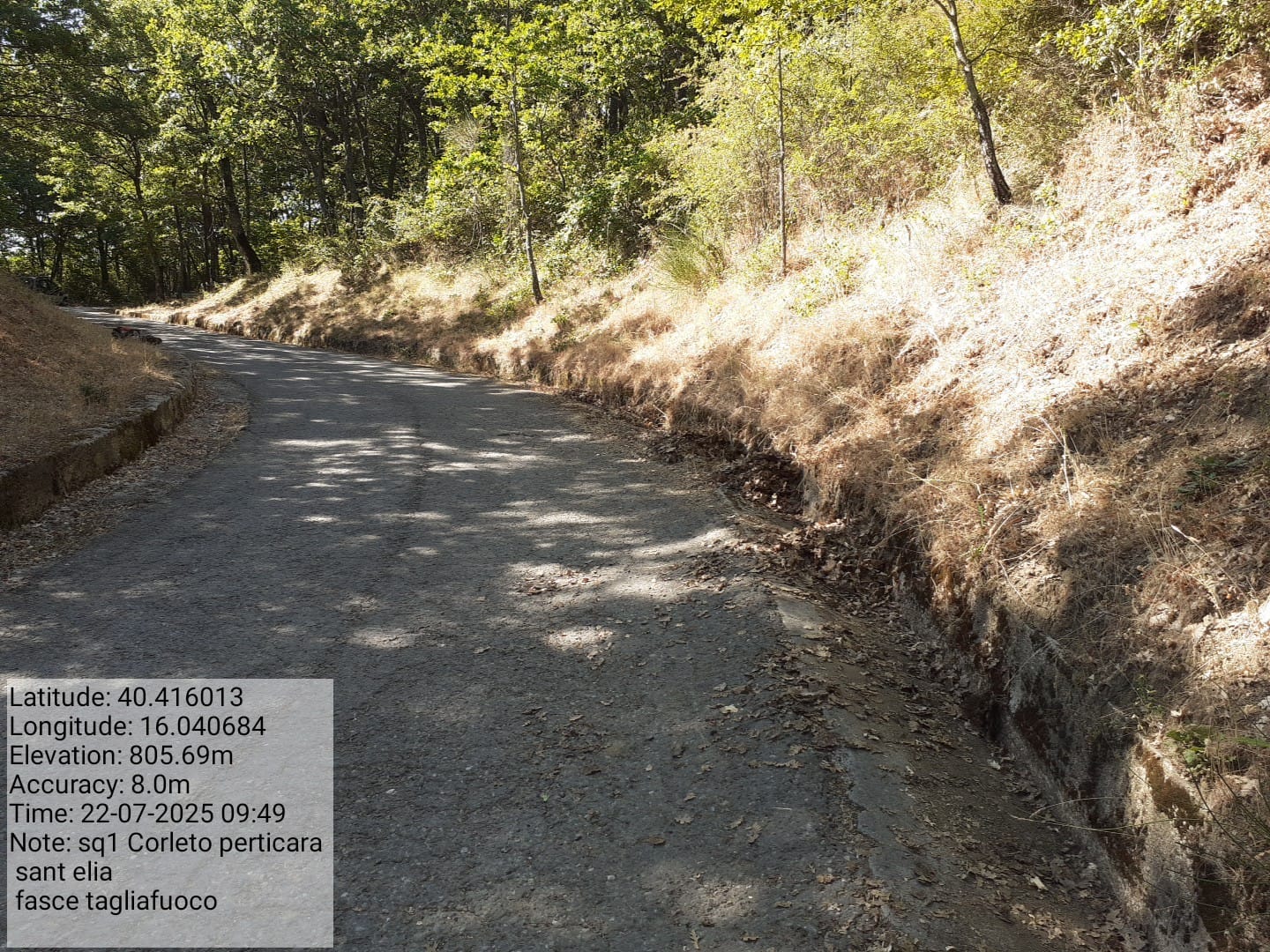 Galleria Fotografica Immagine