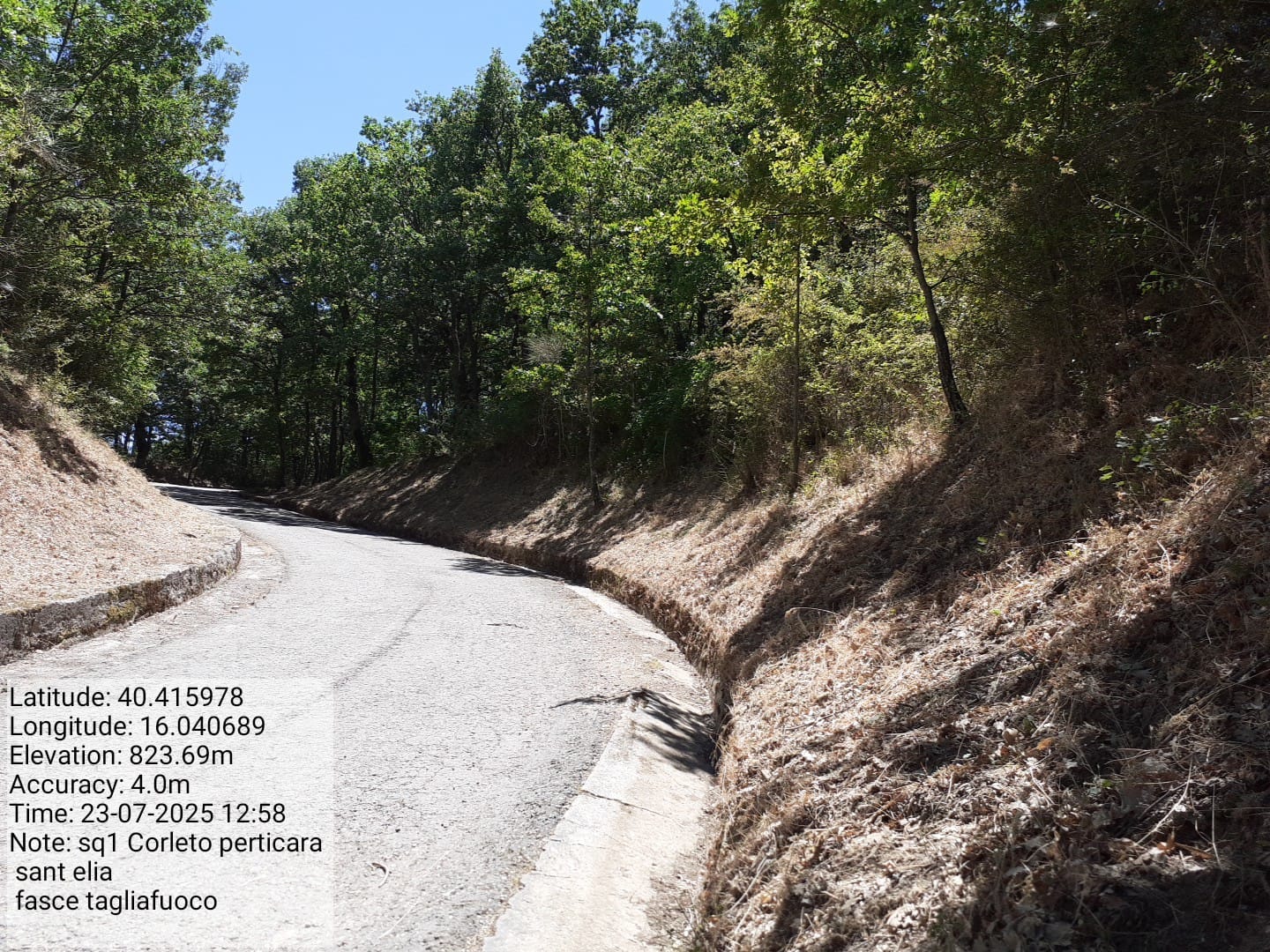 Galleria Fotografica Immagine