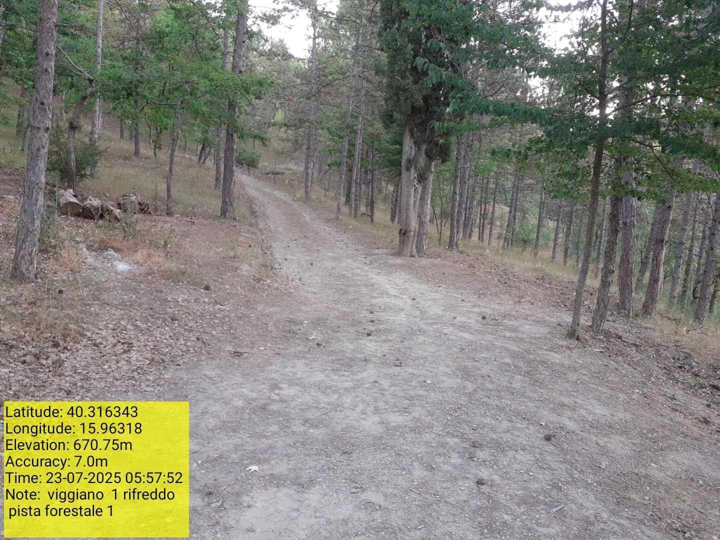 Galleria Fotografica Immagine