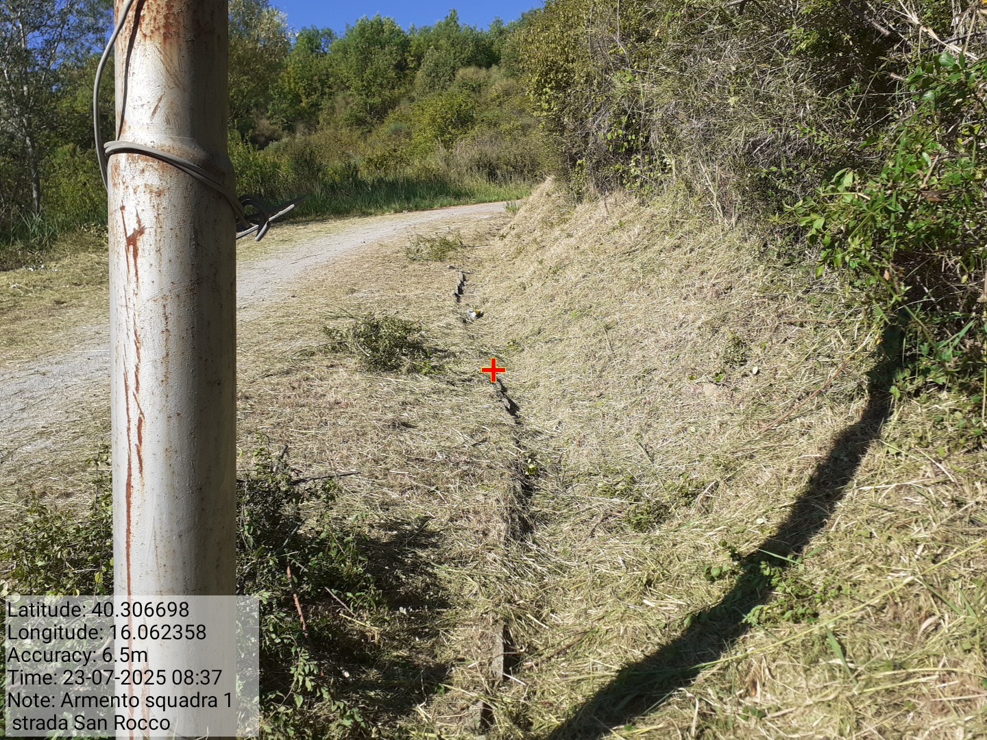 Galleria Fotografica Immagine