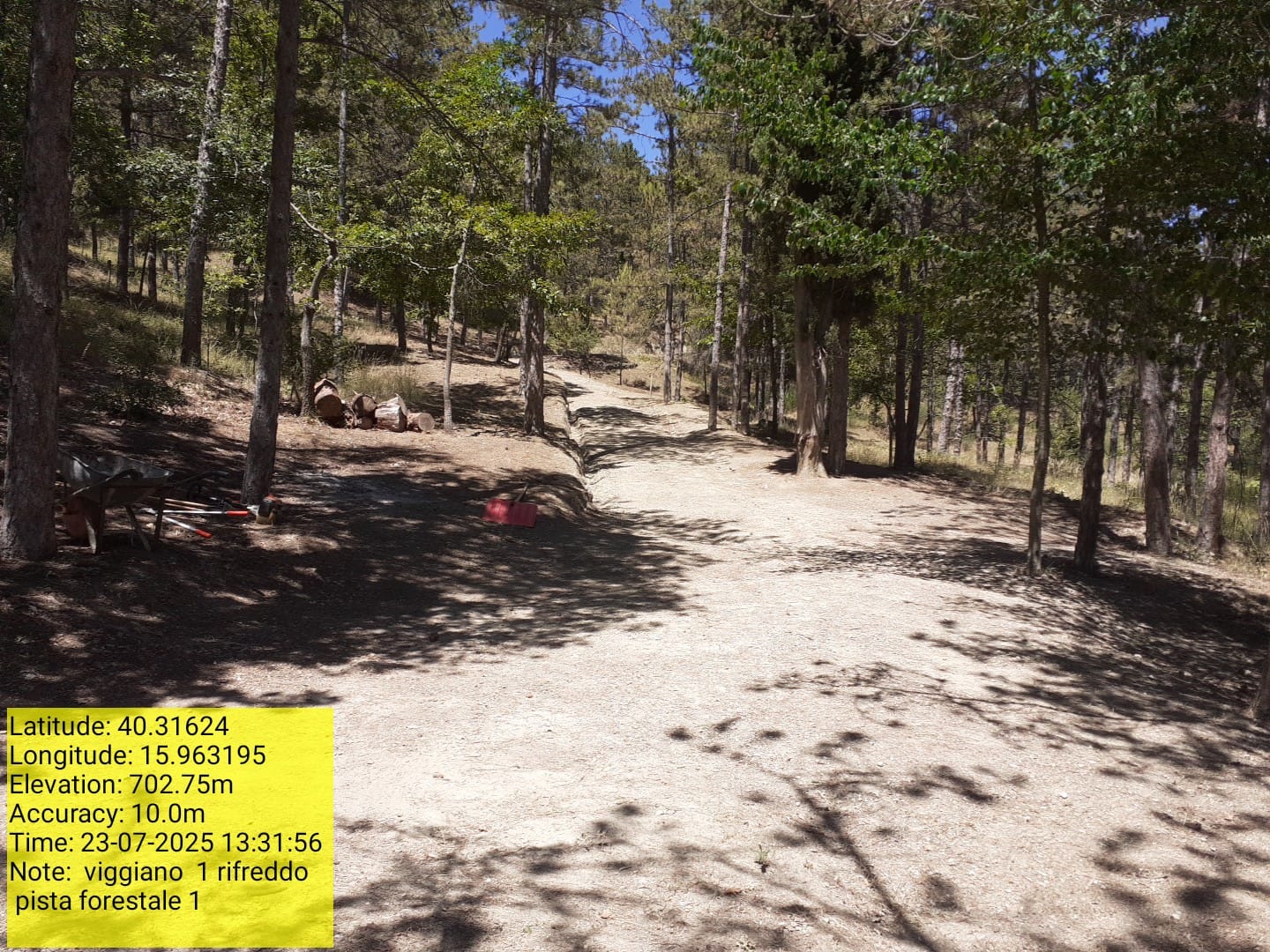 Galleria Fotografica Immagine