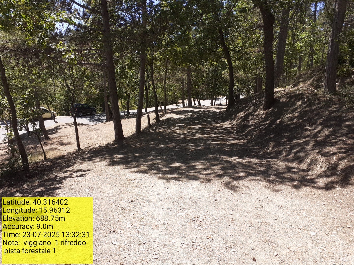 Galleria Fotografica Immagine