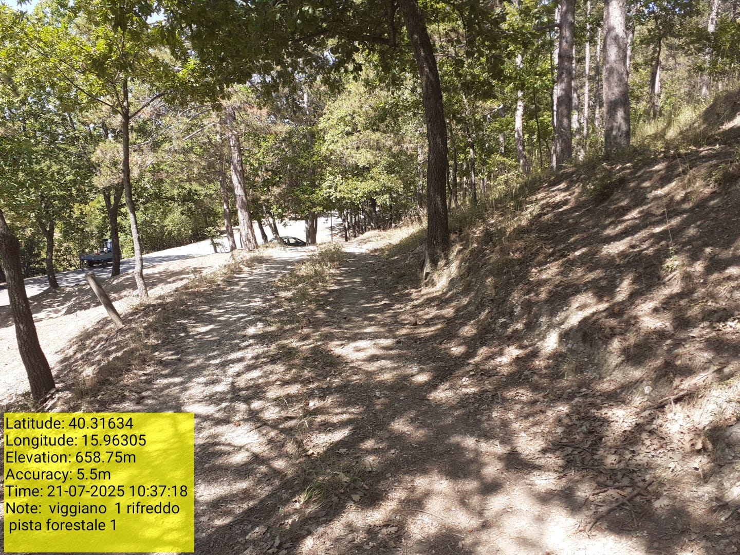 Galleria Fotografica Immagine