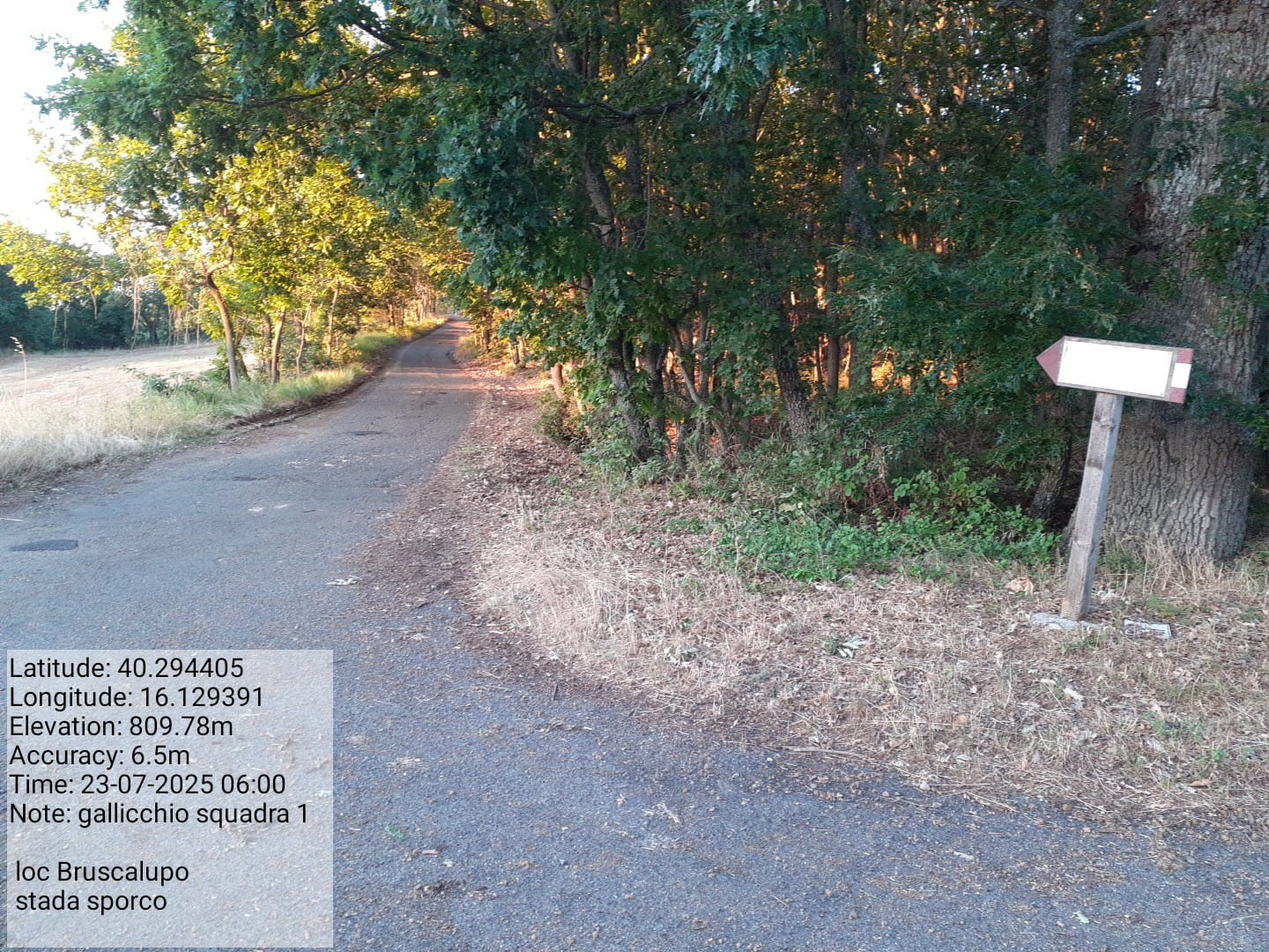 Galleria Fotografica Immagine