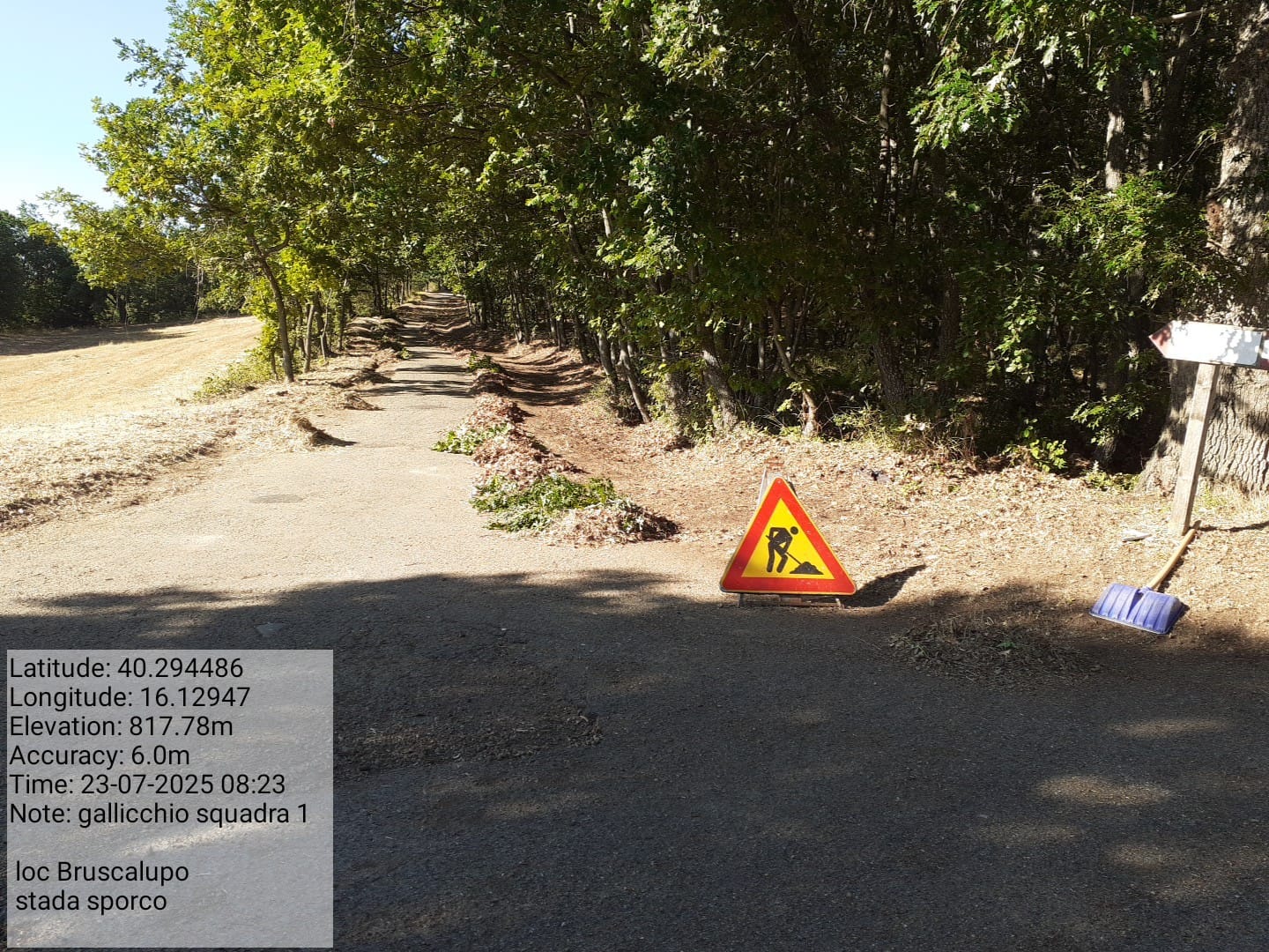 Galleria Fotografica Immagine