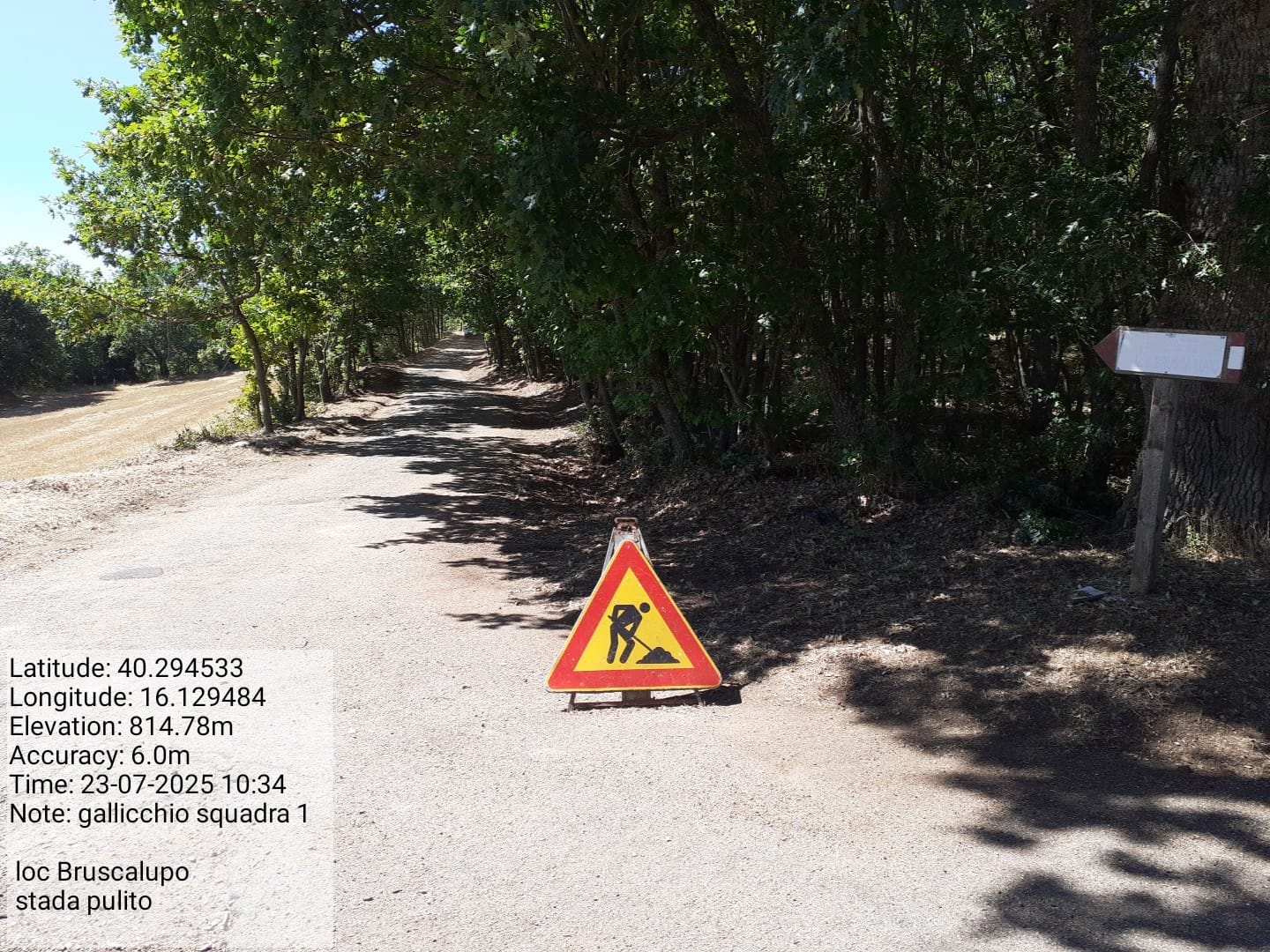 Galleria Fotografica Immagine