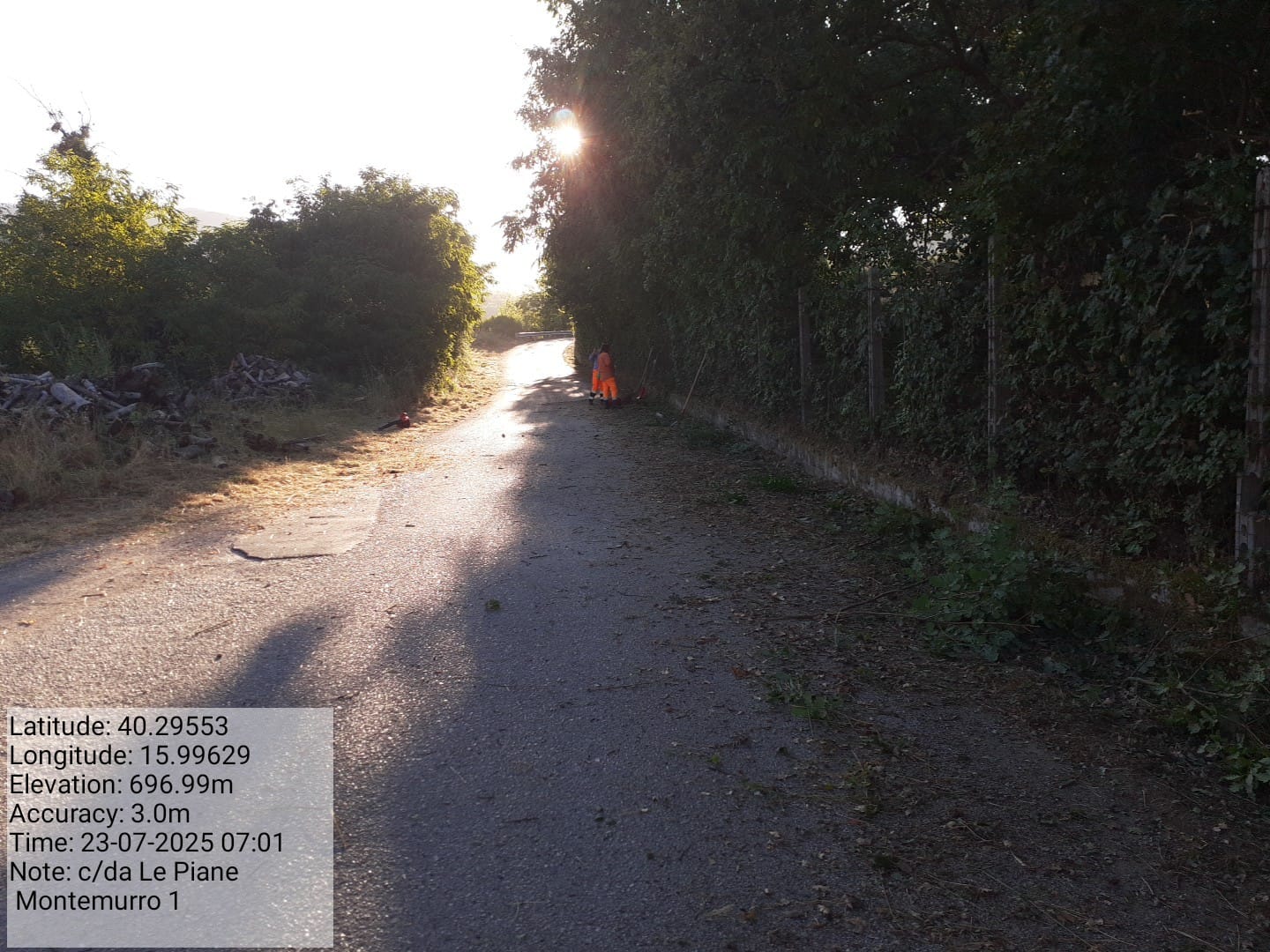 Galleria Fotografica Immagine