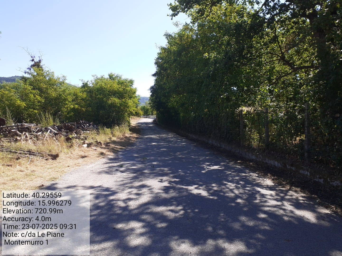 Galleria Fotografica Immagine