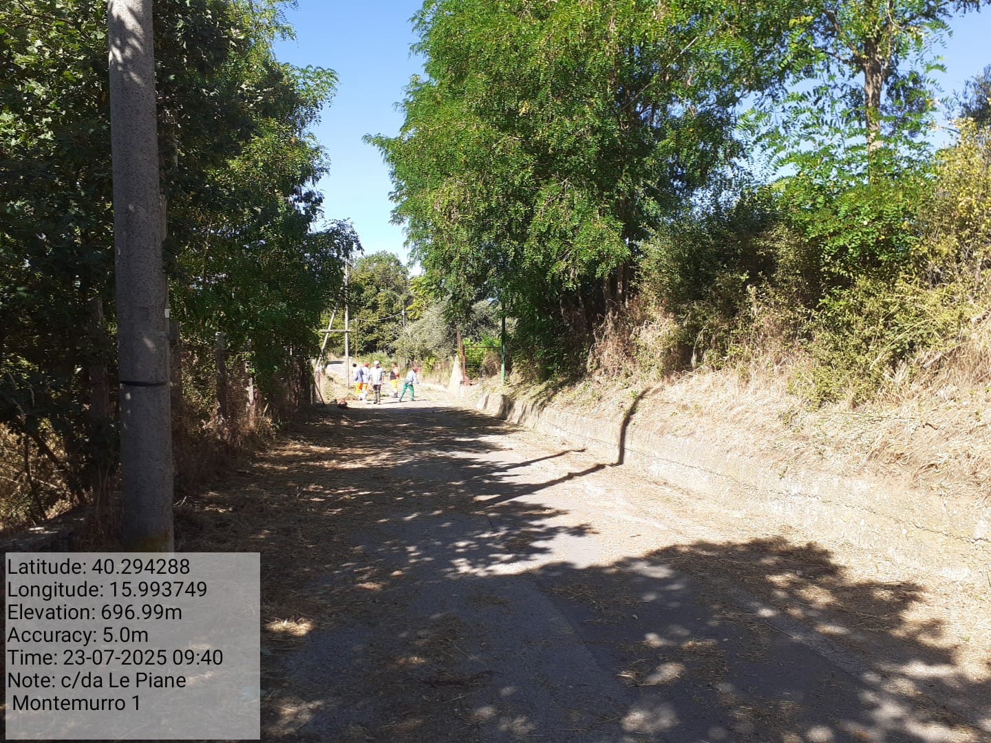 Galleria Fotografica Immagine