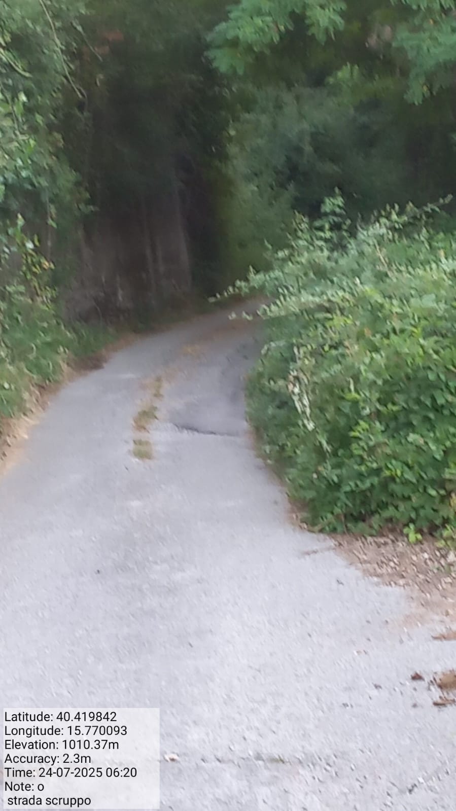 Galleria Fotografica Immagine