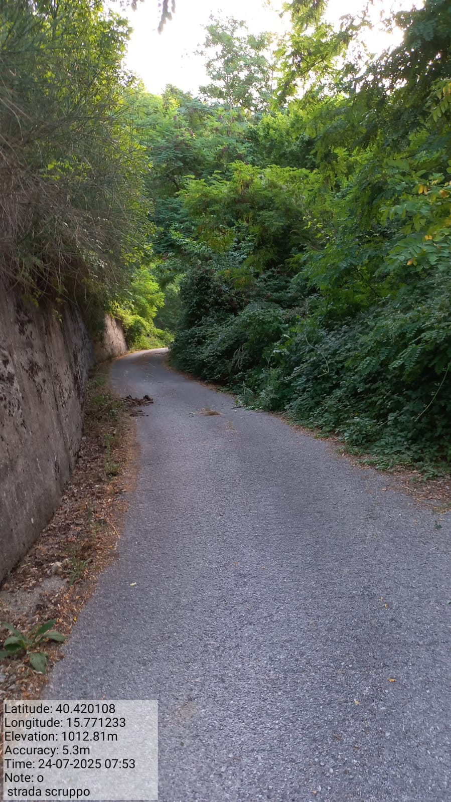 Galleria Fotografica Immagine