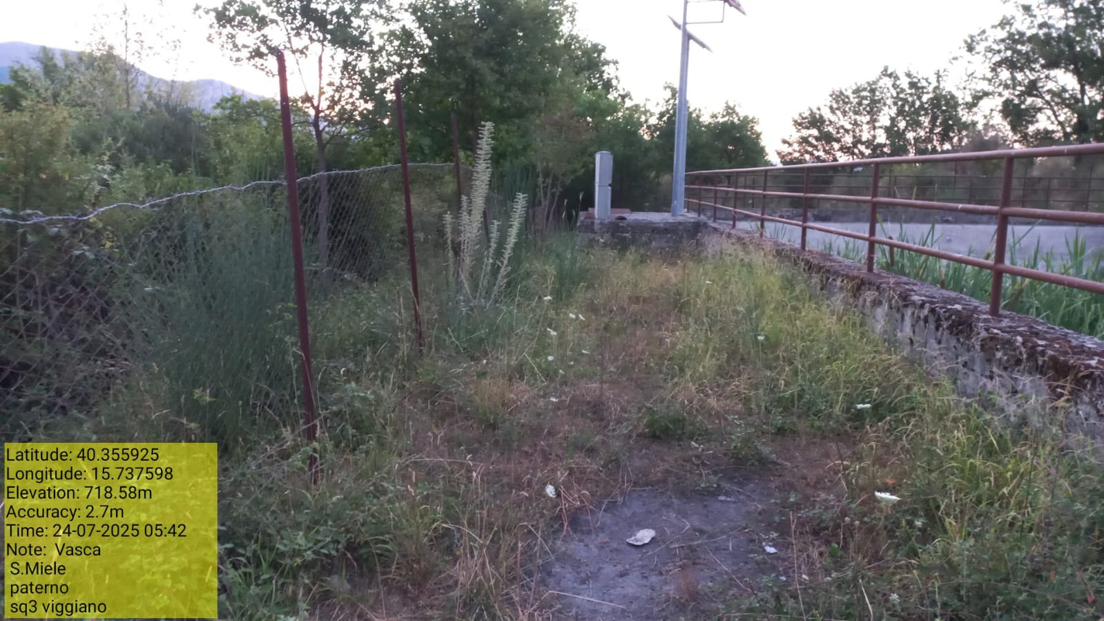 Galleria Fotografica Immagine