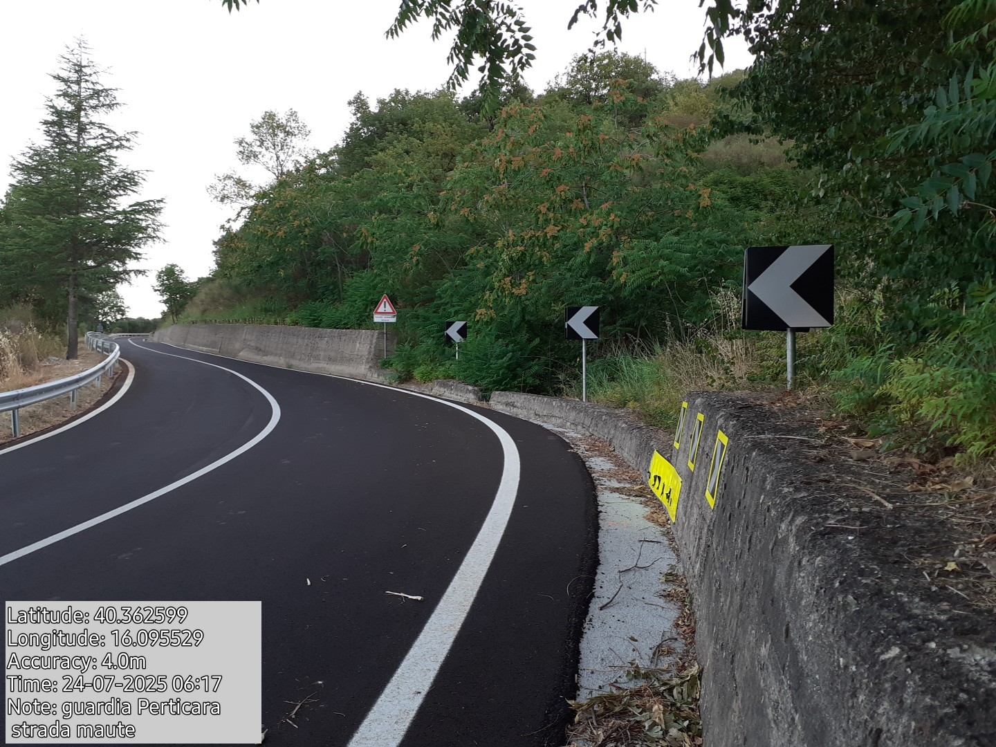 Galleria Fotografica Immagine