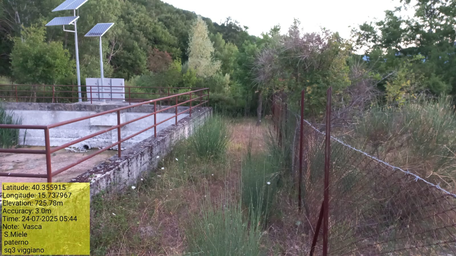 Galleria Fotografica Immagine