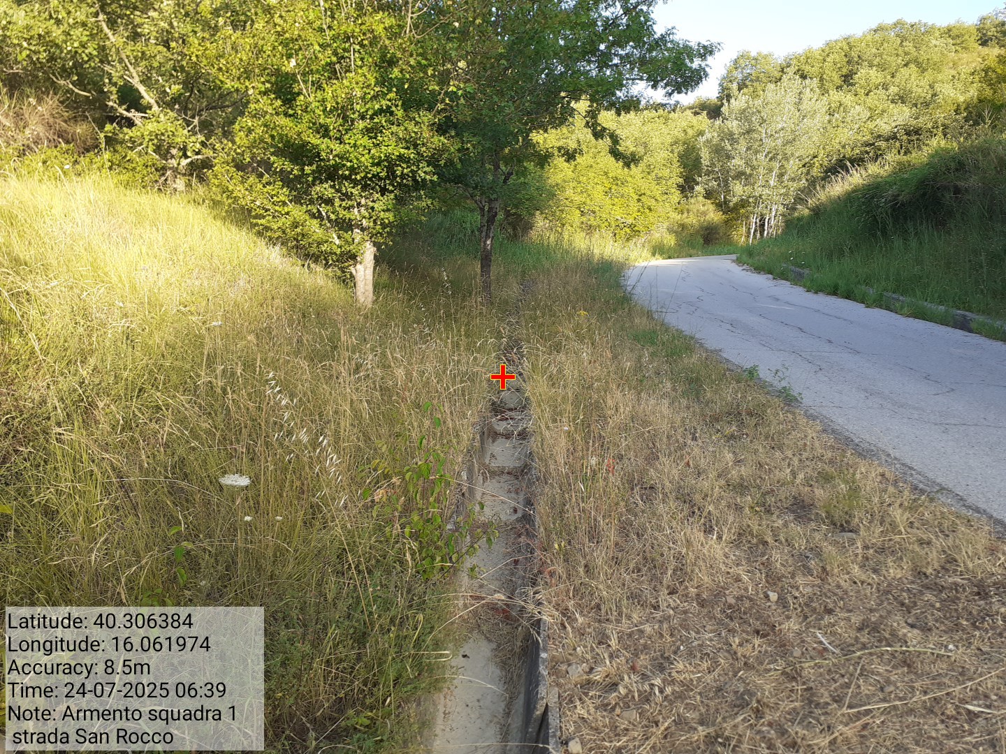 Galleria Fotografica Immagine