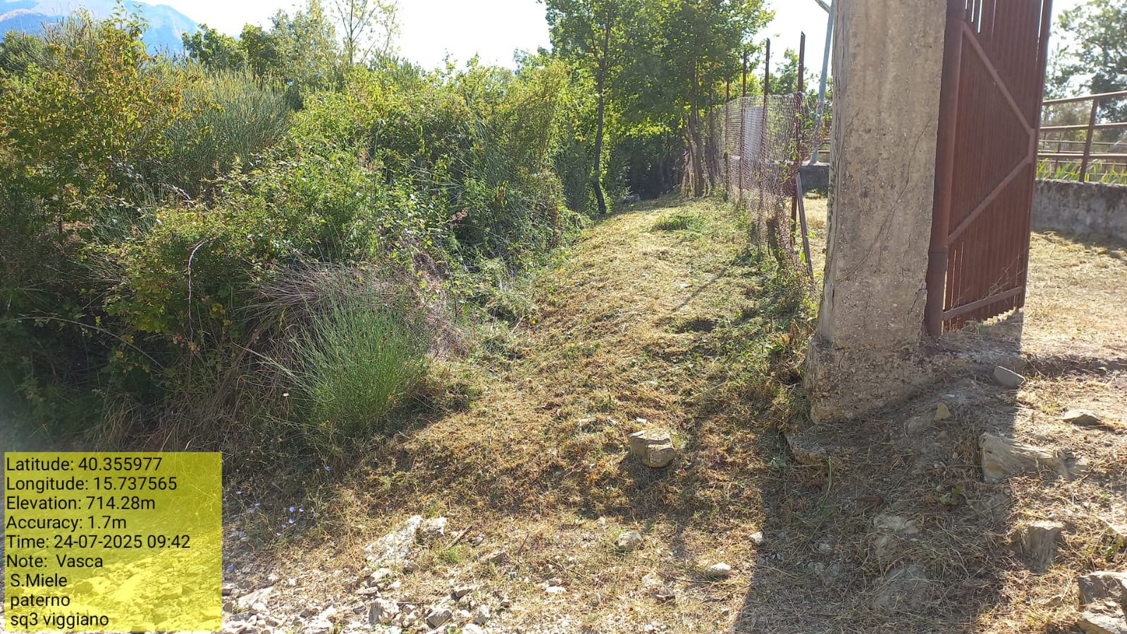 Galleria Fotografica Immagine