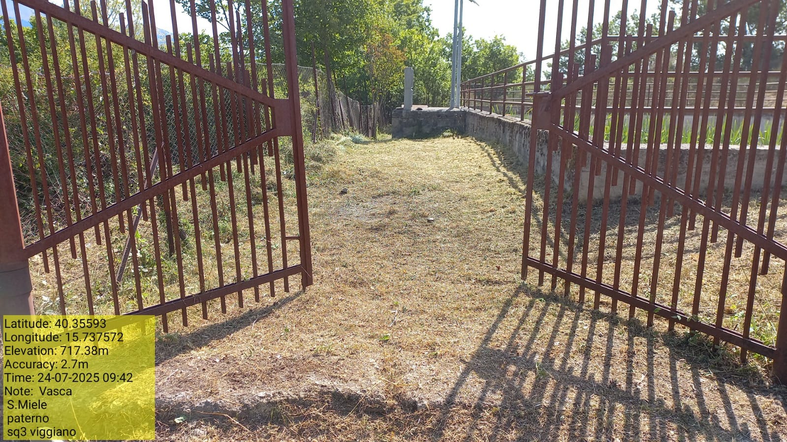 Galleria Fotografica Immagine