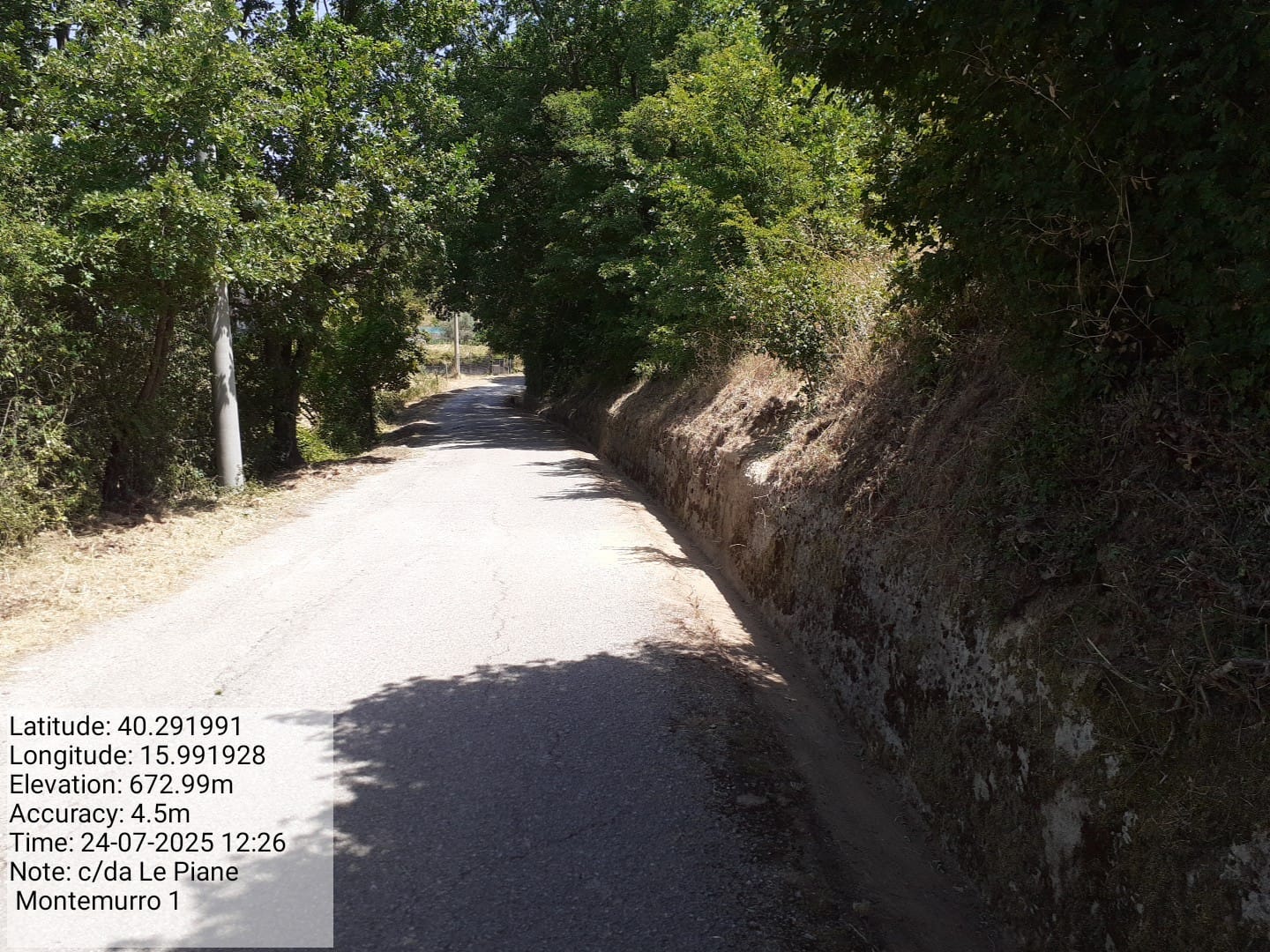 Galleria Fotografica Immagine