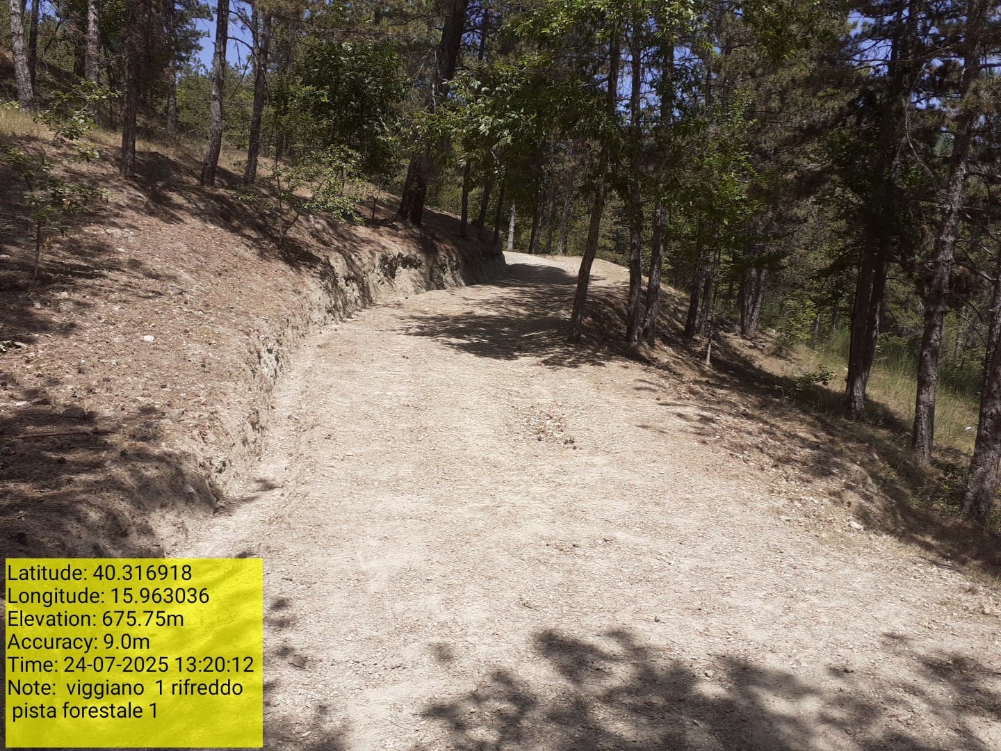 Galleria Fotografica Immagine