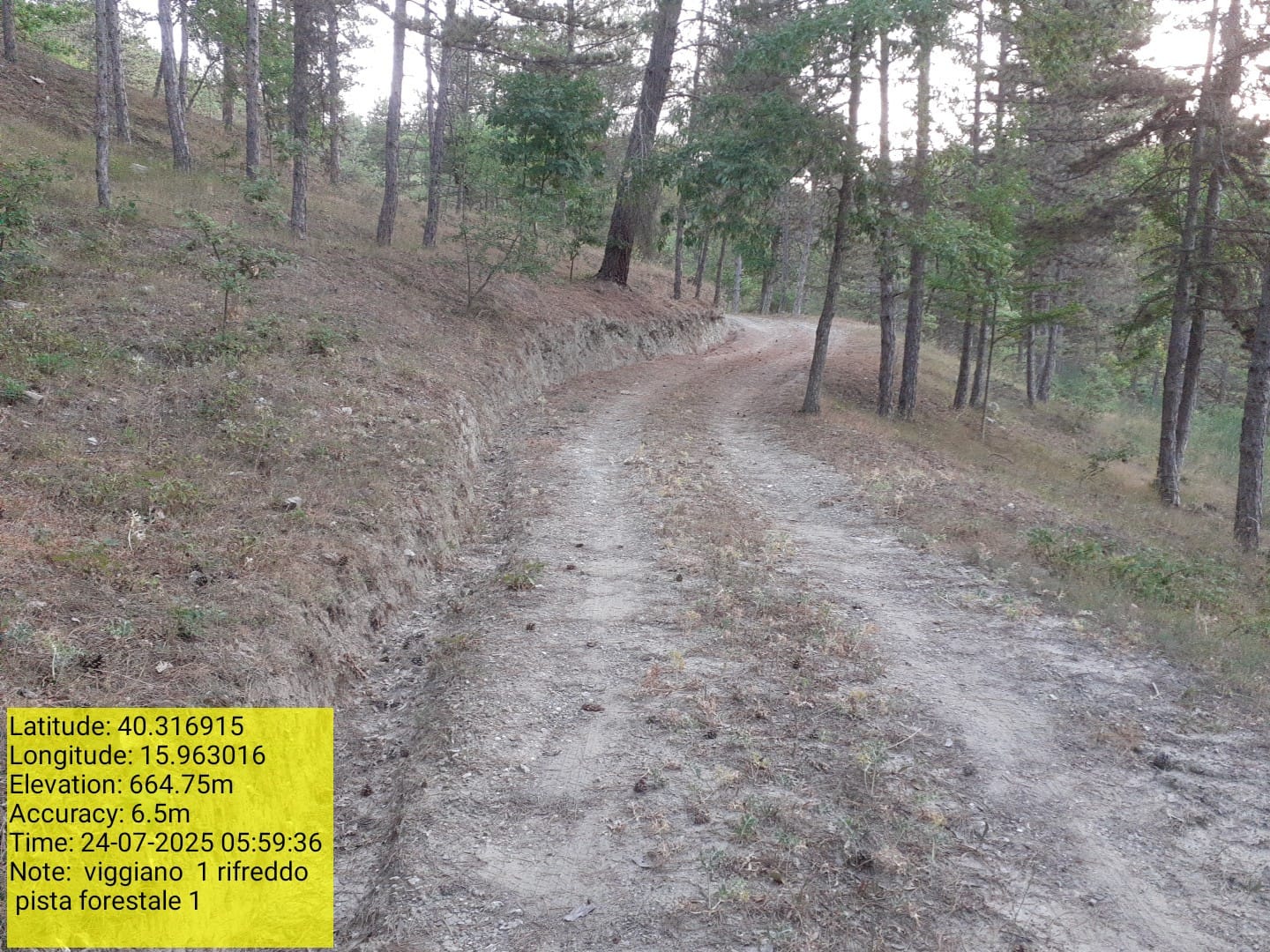 Galleria Fotografica Immagine