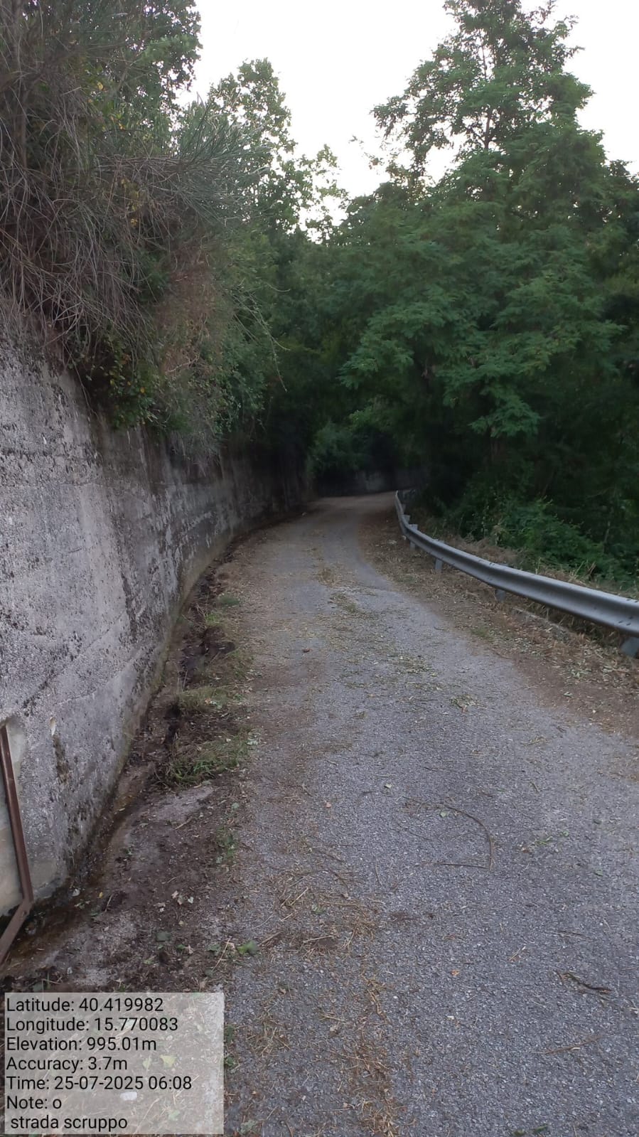 Galleria Fotografica Immagine