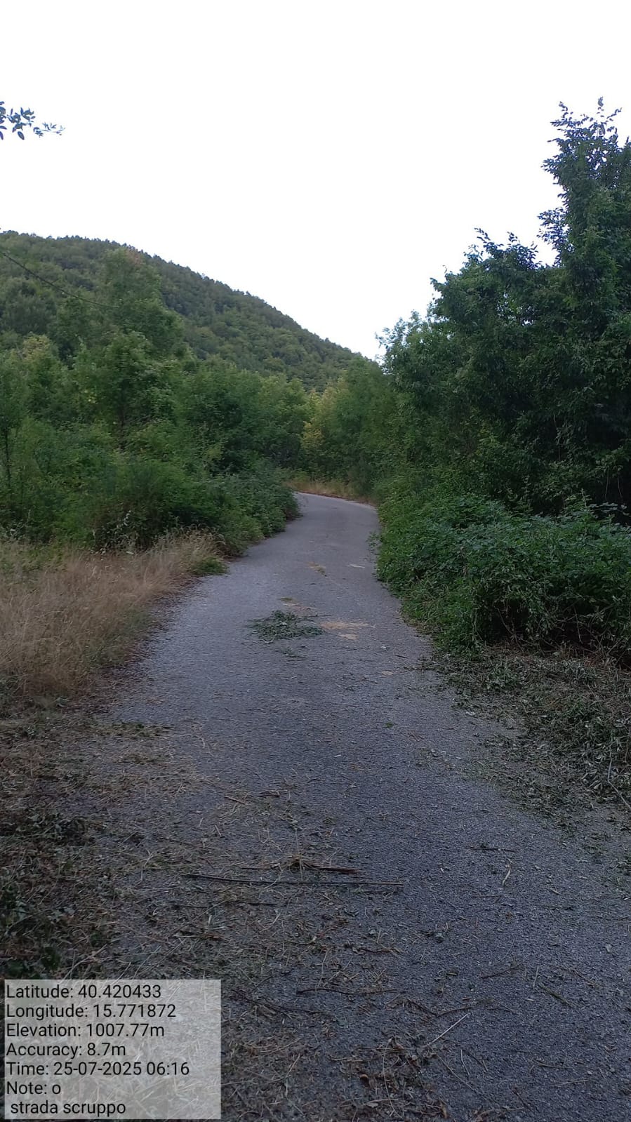 Galleria Fotografica Immagine