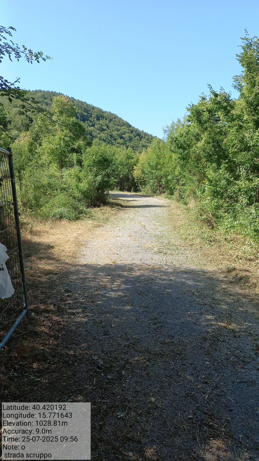 Galleria Fotografica Immagine