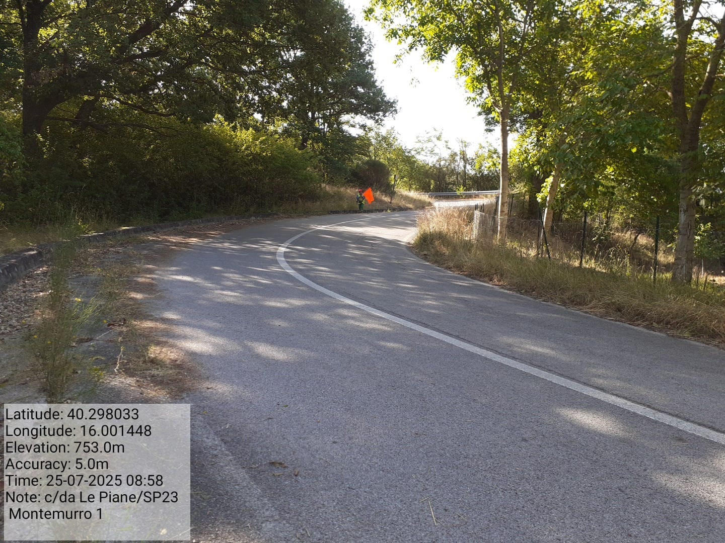 Galleria Fotografica Immagine