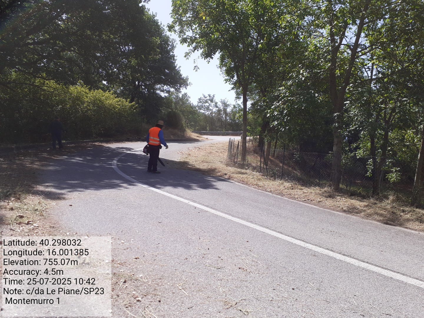 Galleria Fotografica Immagine