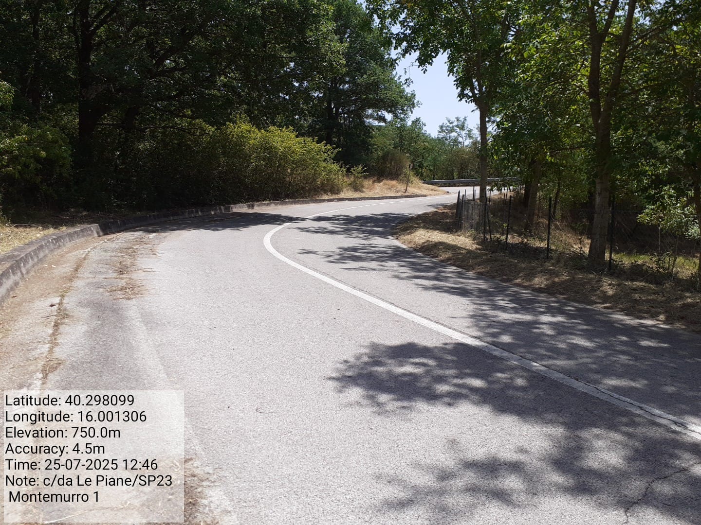 Galleria Fotografica Immagine