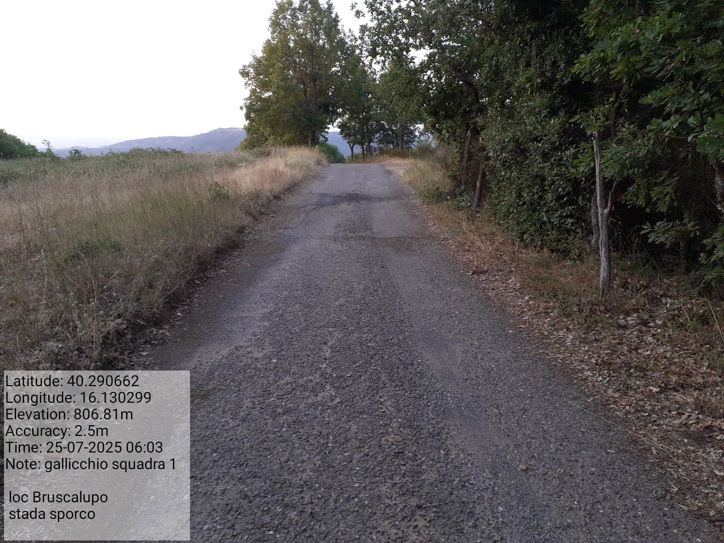 Galleria Fotografica Immagine