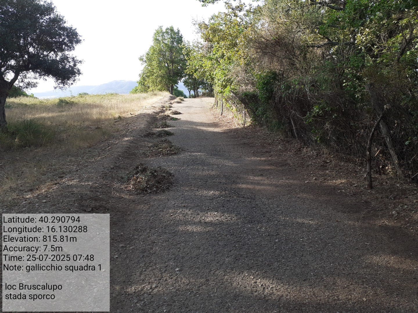 Galleria Fotografica Immagine