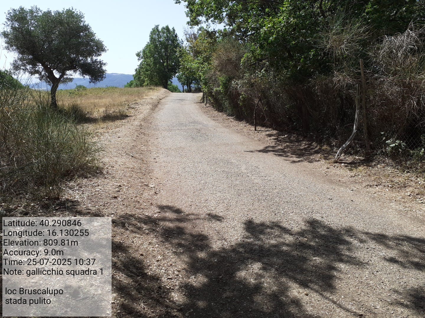 Galleria Fotografica Immagine