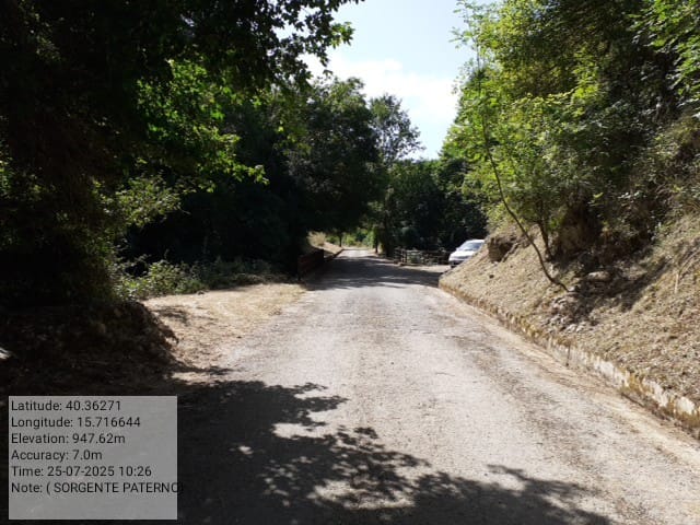 Galleria Fotografica Immagine