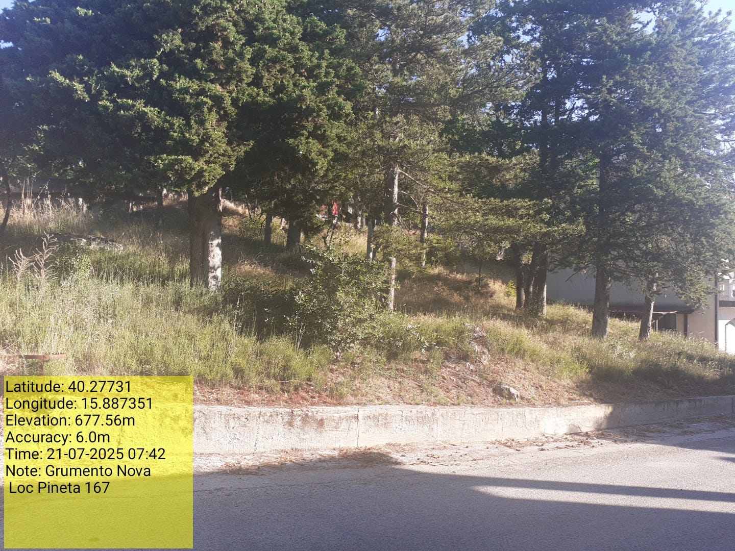 Galleria Fotografica Immagine