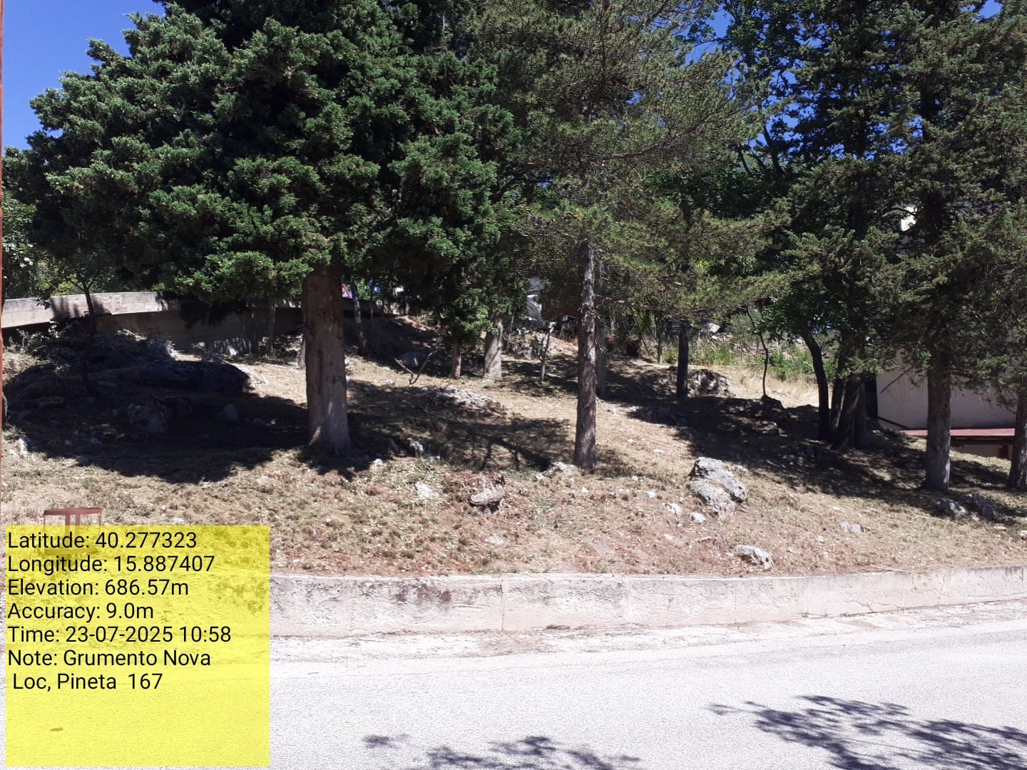 Galleria Fotografica Immagine