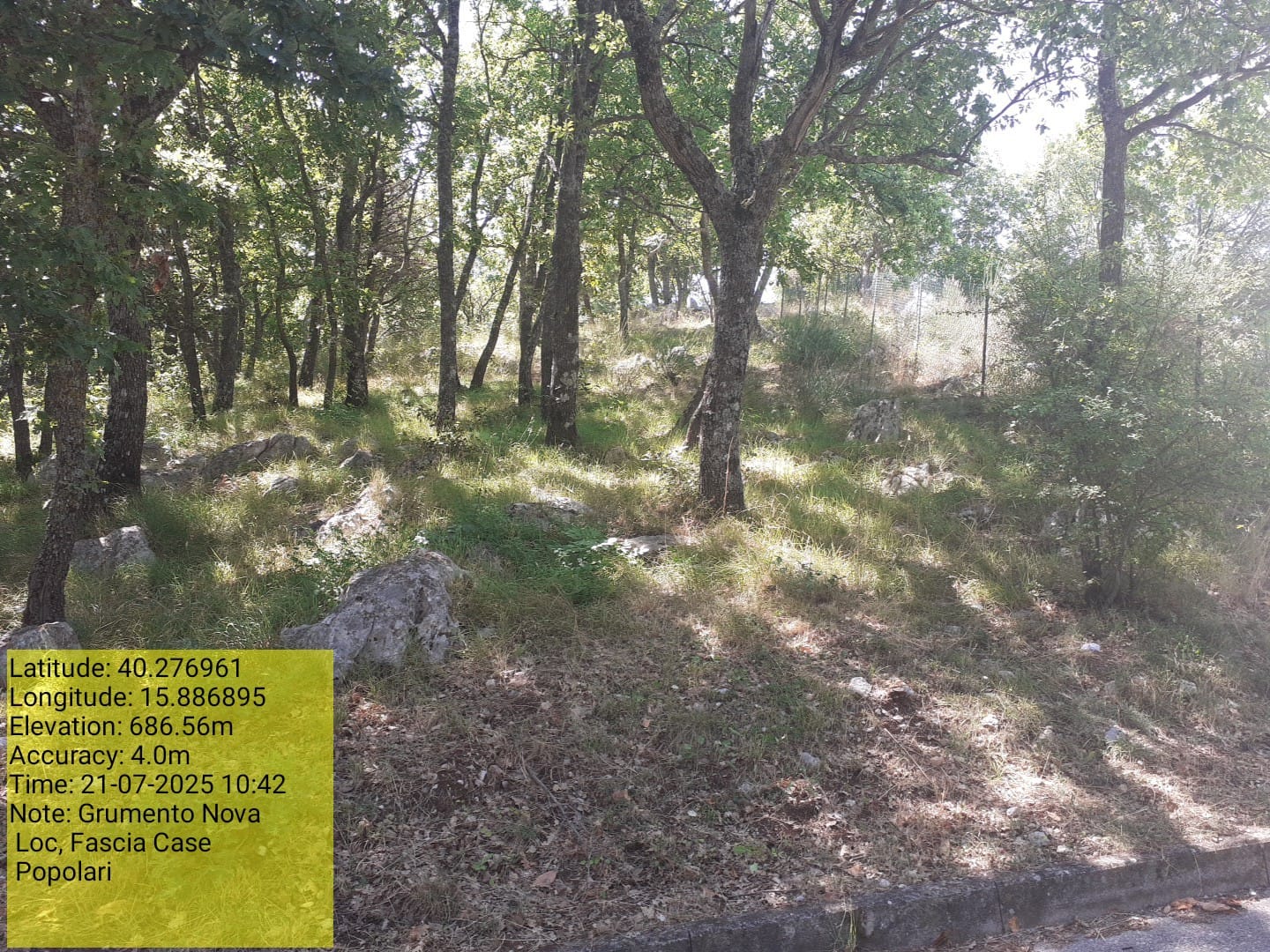 Galleria Fotografica Immagine