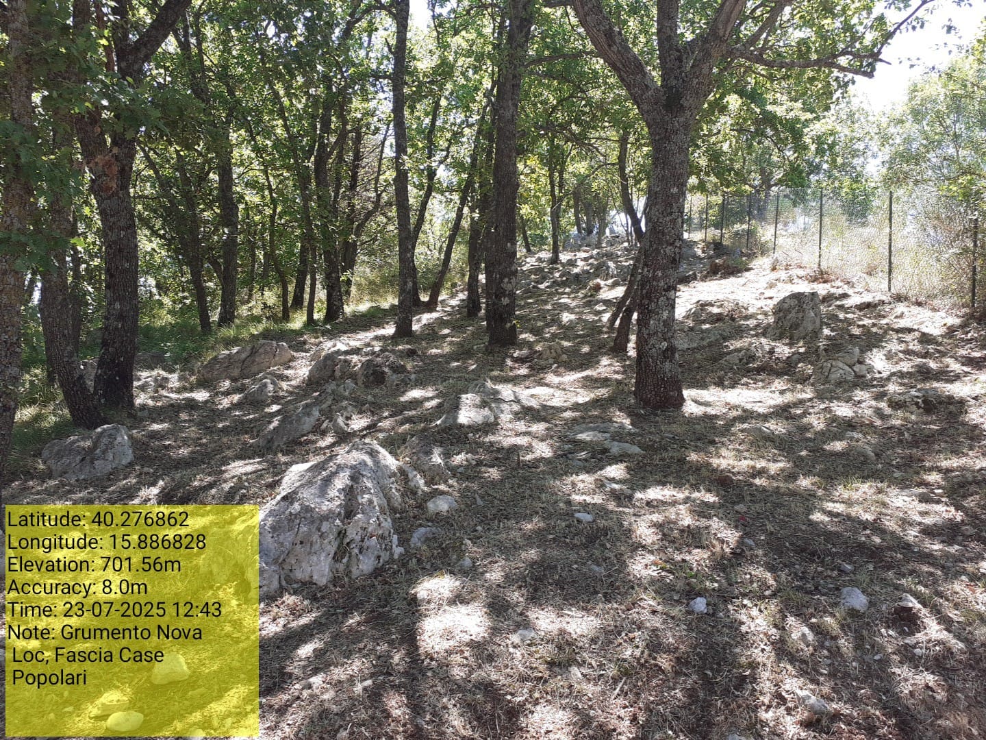 Galleria Fotografica Immagine