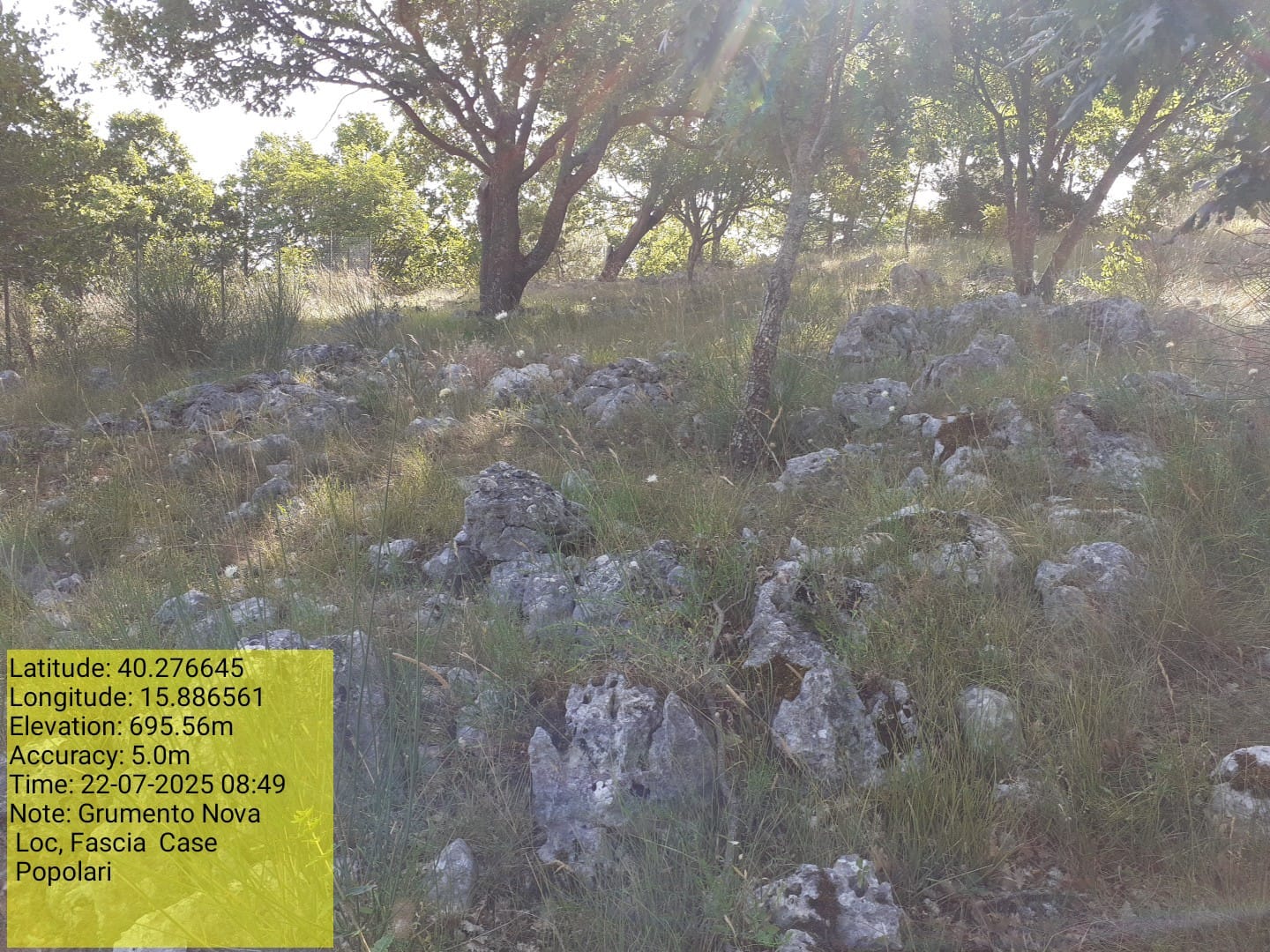 Galleria Fotografica Immagine