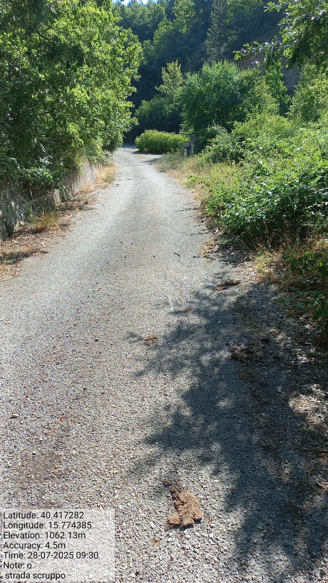 Galleria Fotografica Immagine