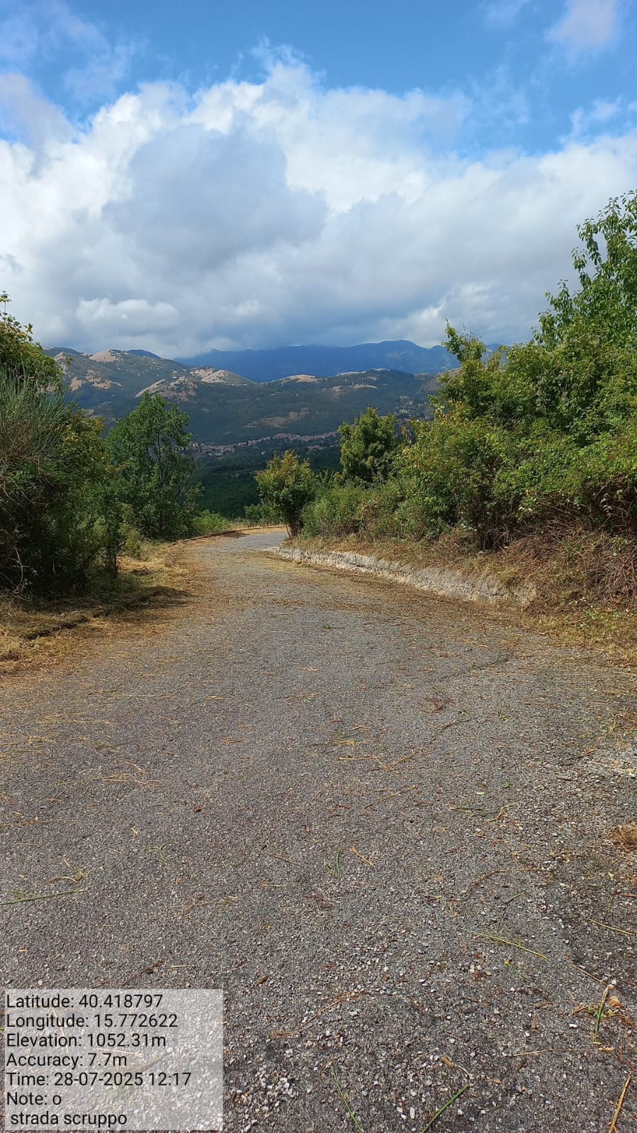 Galleria Fotografica Immagine